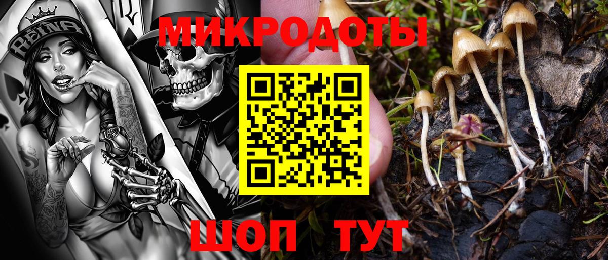 Краснокамск  Псилоцибиновые грибы Psilocybine cubensis  Вход с VPN 