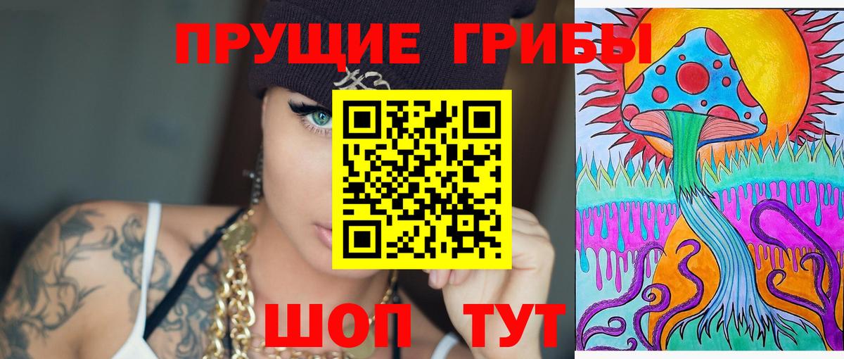 Псилоцибиновые грибы Cubensis Краснокамск